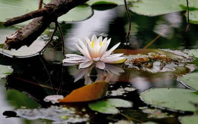 Går vi fremtiden blindt i møte?
