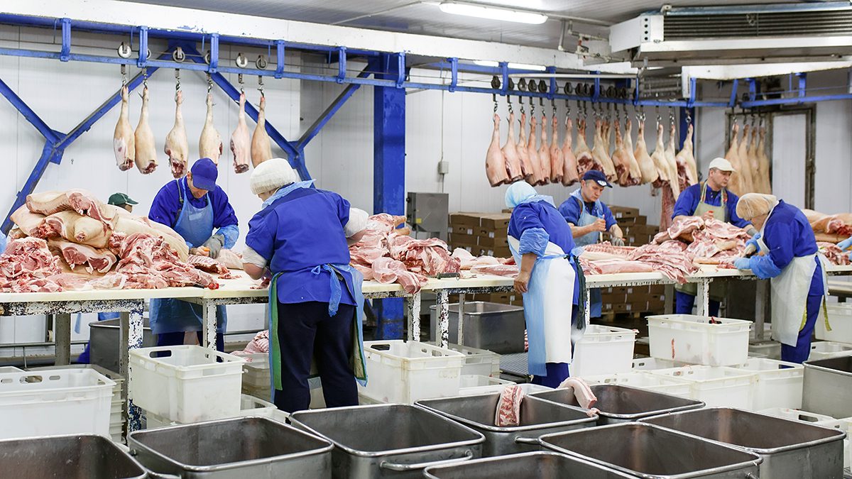 Illiustrasjonsbilde slakteri