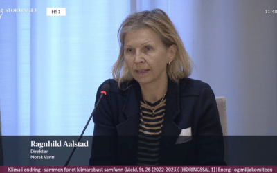 Stortingshøring om klimatilpasningsmeldingen