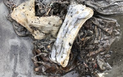 Nordre Follo renseanlegg: -Folk gir blaffen