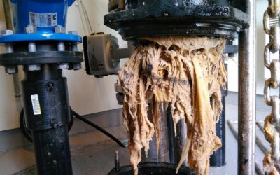 Tamponger og bind skal ikke i do