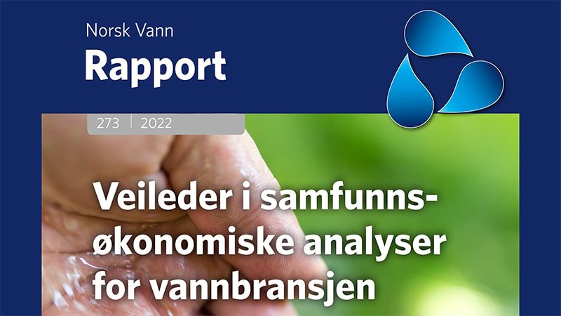 Forside rapport 273