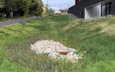 Høringsuttalelse til håndtering av overvann i byggesaker