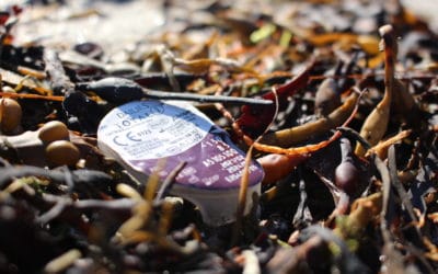 Pressemelding: Bruker du toalettet som søppelbøtte?