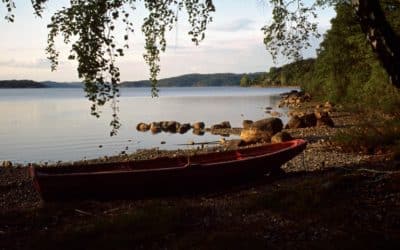 Nettseminar om arealplanlegging og drikkevann 28. november