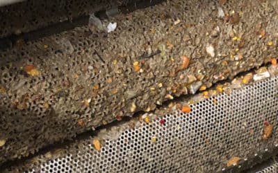 Avisa Telen: – Bæsj, tiss og toalettpapir hører hjemme her. Og du kan drite i å bruke doen til søppelbøtte!