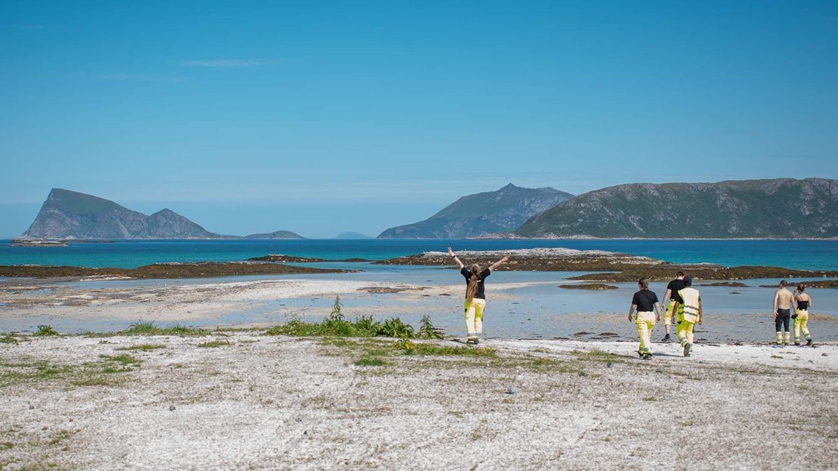 Bilde fra naturen i Tromsø