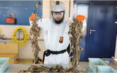 Høringsuttalelse: Produsenters ansvar for engangsprodukter i plast