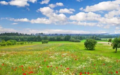 Støtte til lokale klimatiltak eller klimatilpasning