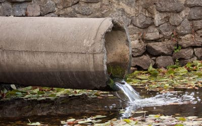 Avløpsdirektivet: Kort status pr 1. mars