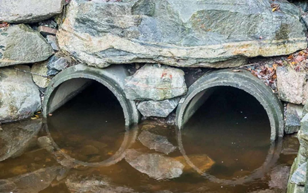 Vannprisseminaret 2025: Fra problem til potensial – slam som ressurs i en sirkulær fremtid